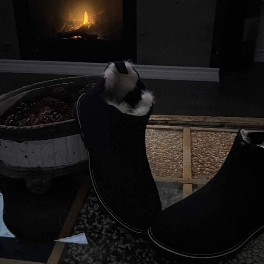 NWOT Winter ankle boots size 40